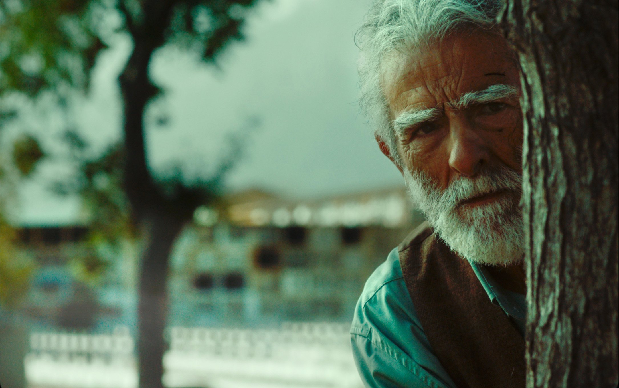 LOS VERSOS EDITADO 3